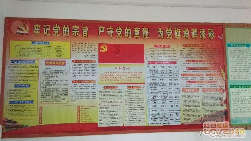 出国「镀金」留学值得吗？游戏画面